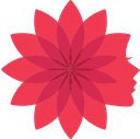 NeshatRokh Co.
